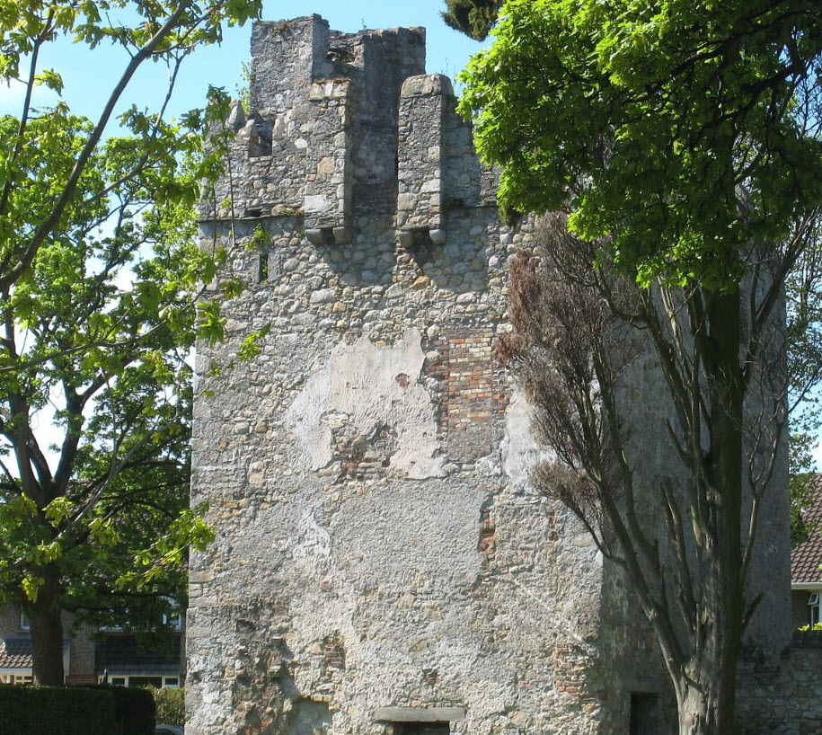 Monanimy Castle, Ireland